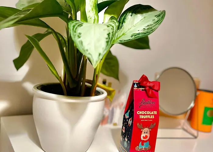 Pansiyon Ifsc Dublin