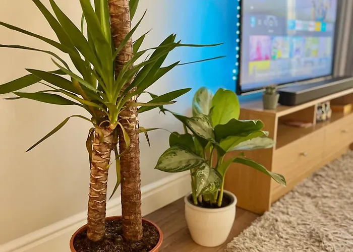 Ifsc Kwatera prywatna *