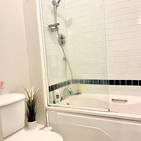 Ifsc Проживание в семье