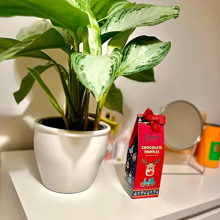 Проживание в семье Ifsc Дублин